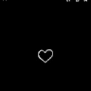 Meet your Posher, Ella